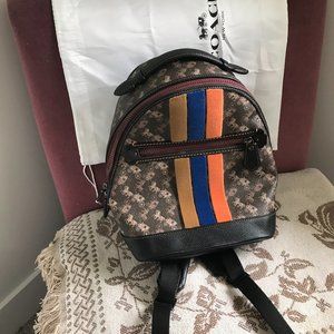 Coach backpack